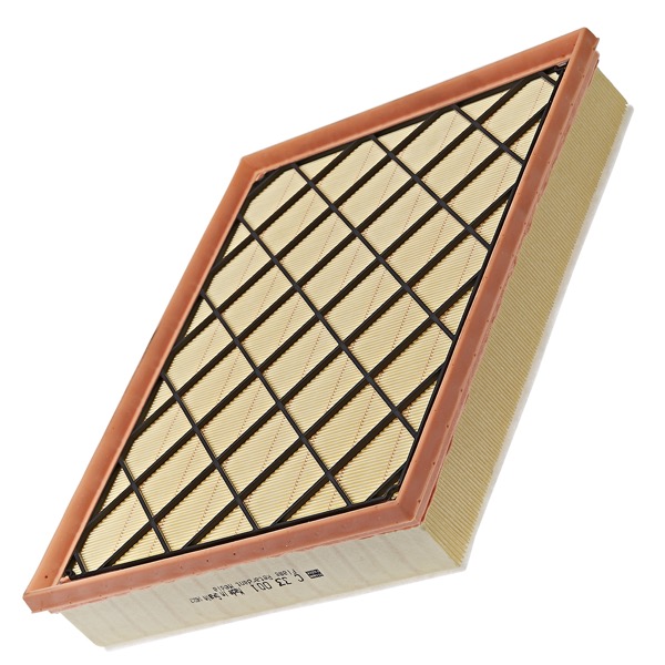 Mann Air Filter 502110479