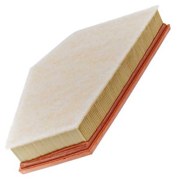 Mann Air Filter 502110499