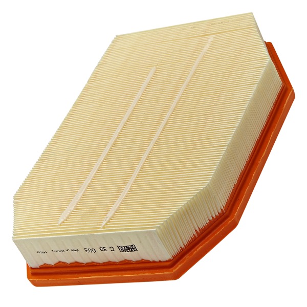 Mann Air Filter 502110599