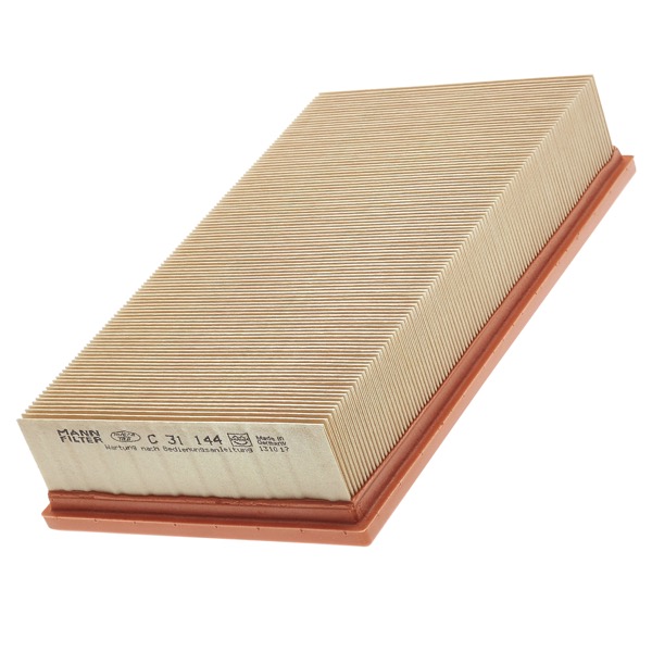 Mann Air Filter 502220539