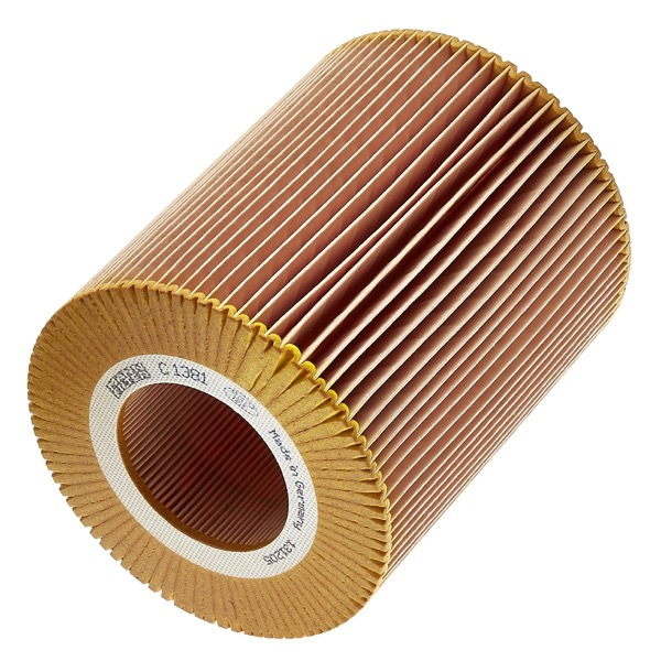 Mann Air Filter 502220649