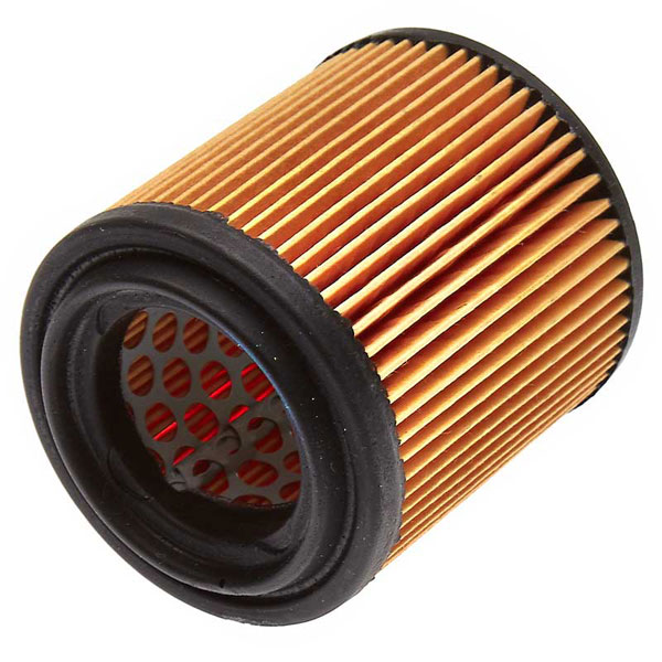 Mann Air Filter 502330089