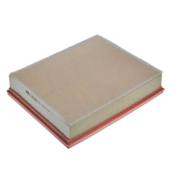 Mann Air Filter 502440059