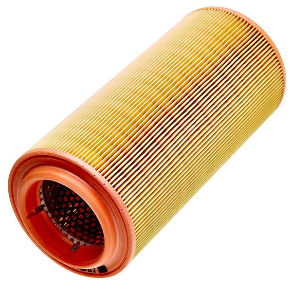 Mann Air Filter 502440259