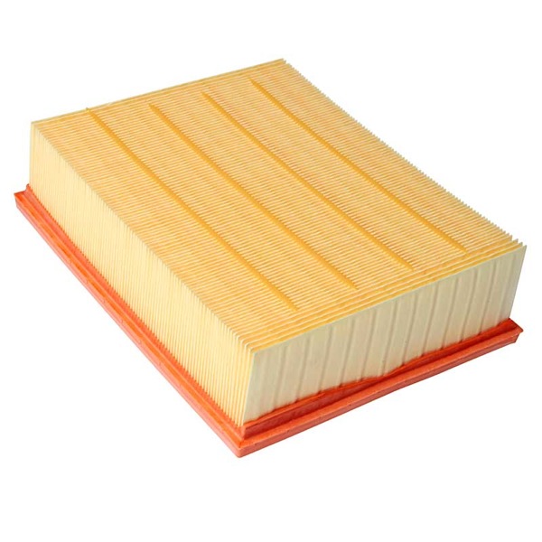 Mann Air Filter 502440549