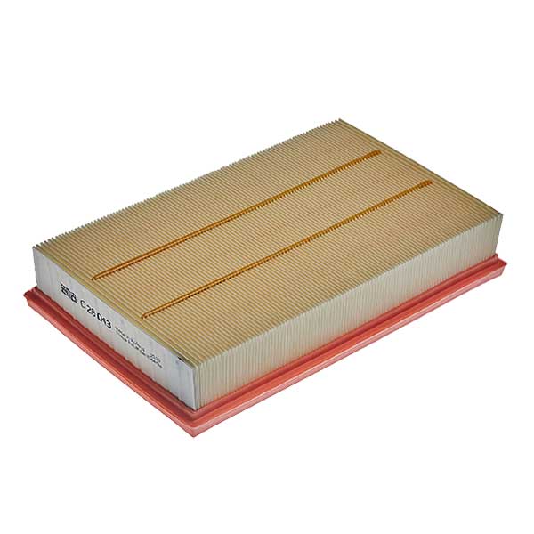 Mann Air Filter 502442079