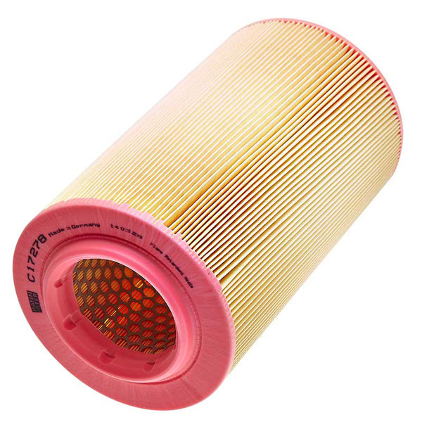 Mann Air Filter 502545029