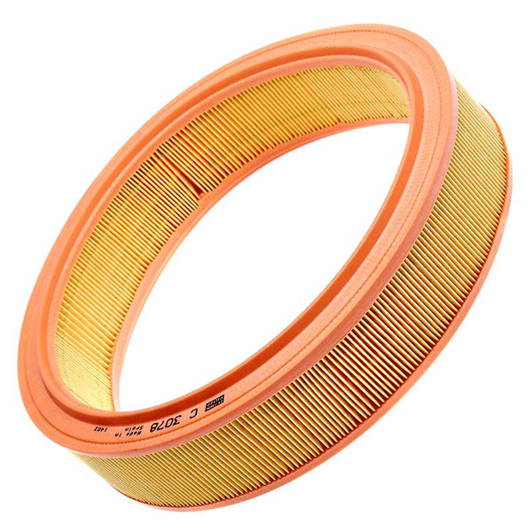 Mann Air Filter 502580039