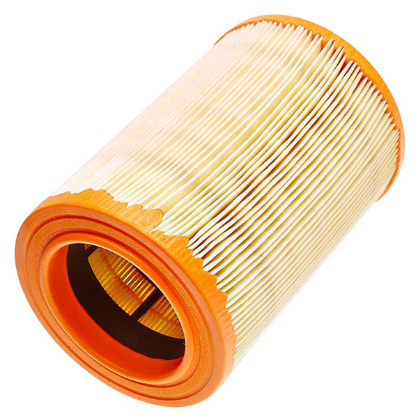 Mann Air Filter 502580429