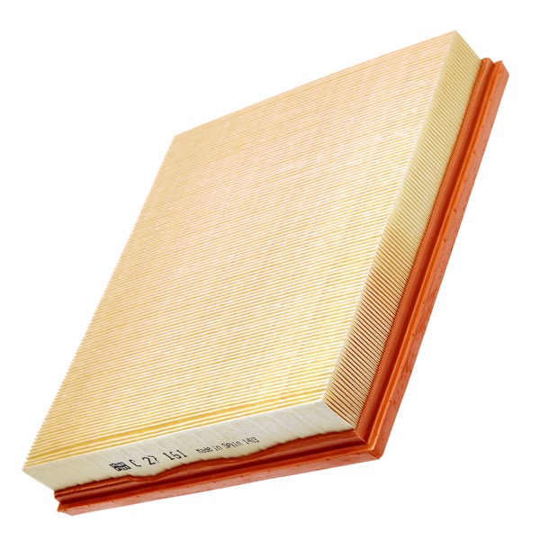 Mann Air Filter 502590379