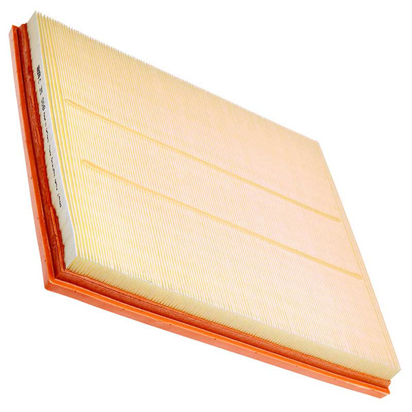 Mann Air Filter 502590419