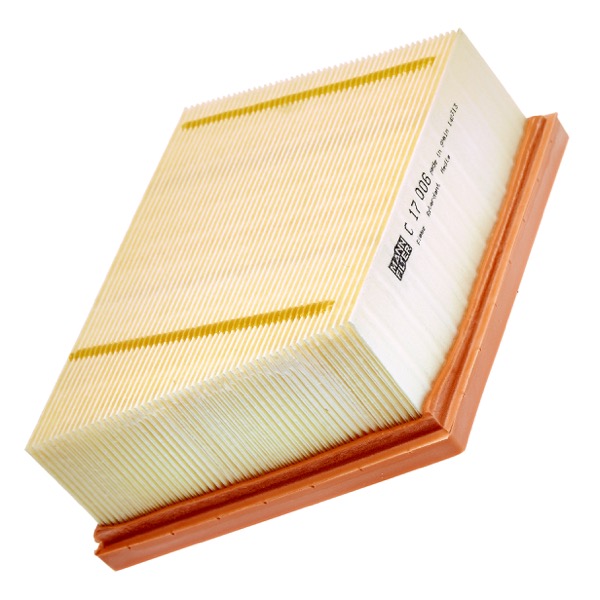 Mann Air Filter 502591229
