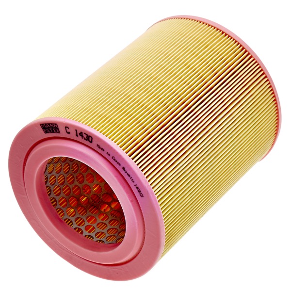 Mann Air Filter 502600179