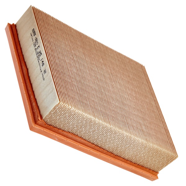 Mann Air Filter 502670029