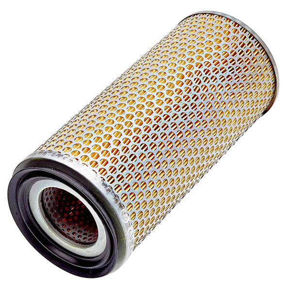 Mann Air Filter 502670049