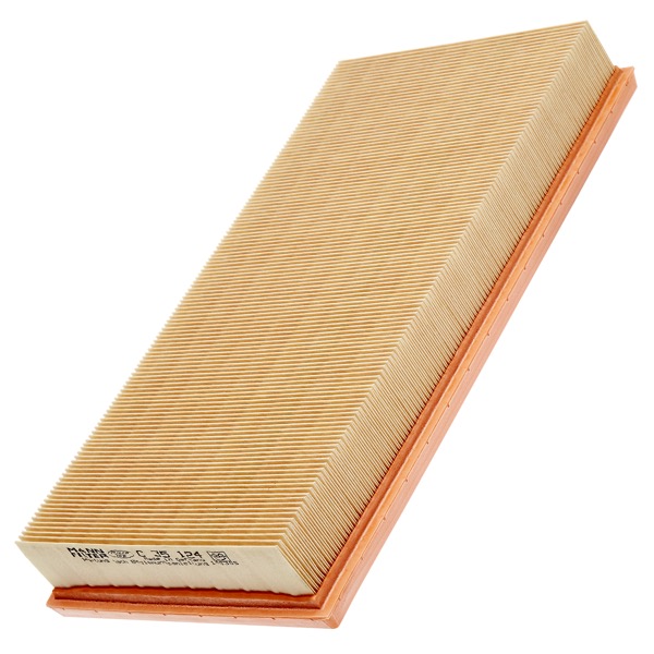 Mann Air Filter 502690019