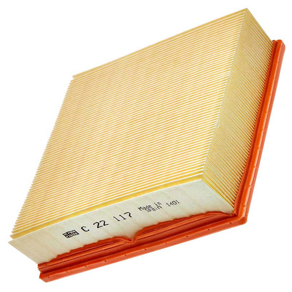 Mann Air Filter 502770049