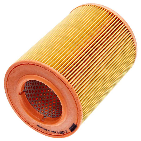 Mann Air Filter 502810029