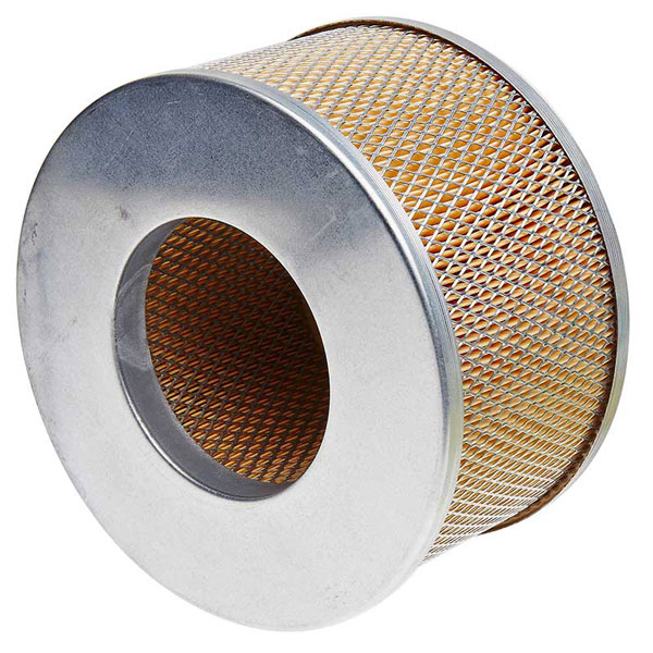 Mann Air Filter 502820109