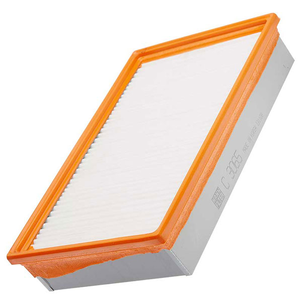 Mann Air Filter 502860089