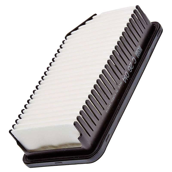 Mann Air Filter 502860419