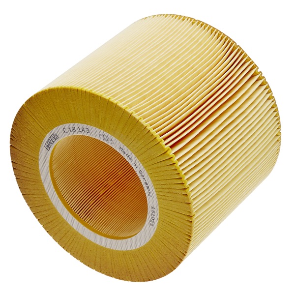 Mann Air Filter 502880079