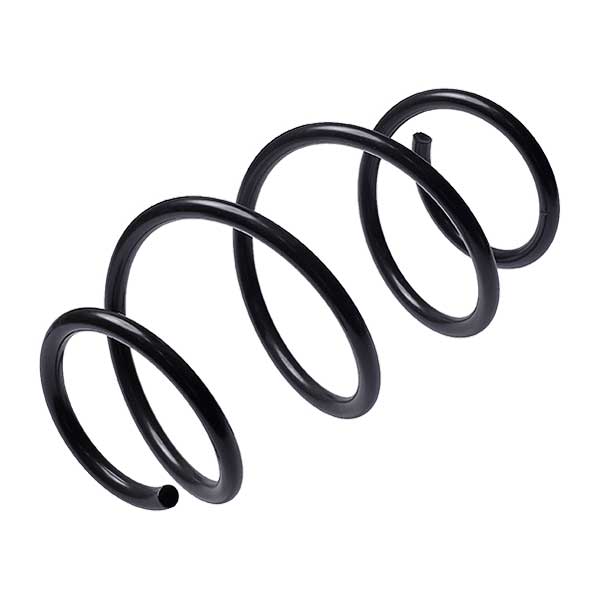 Sachs Coil Spring 627110070