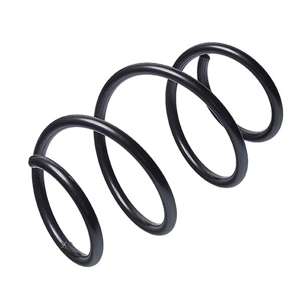 Sachs Coil Spring 627113170