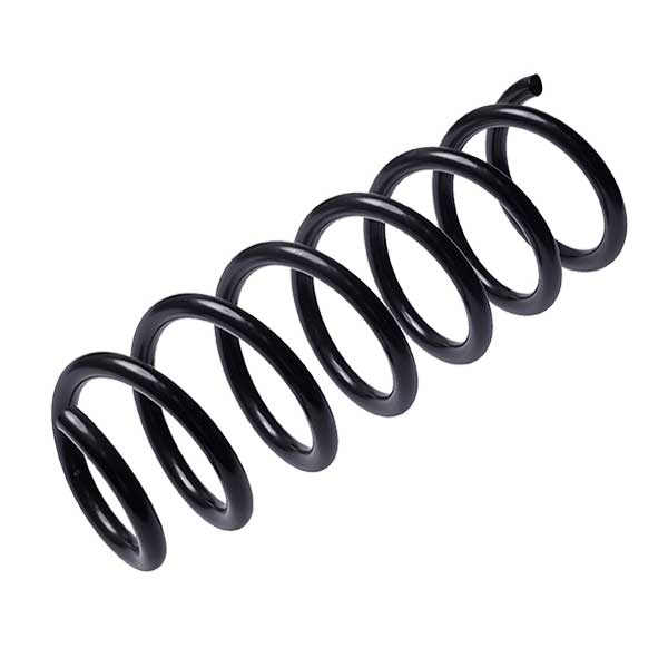 Sachs Coil Spring 627113240