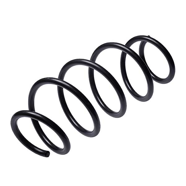 Sachs Coil Spring 627113540