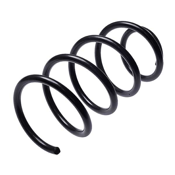 Sachs Coil Spring 627120330