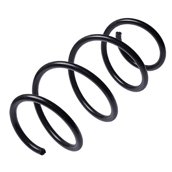 Sachs Coil Spring 627222970