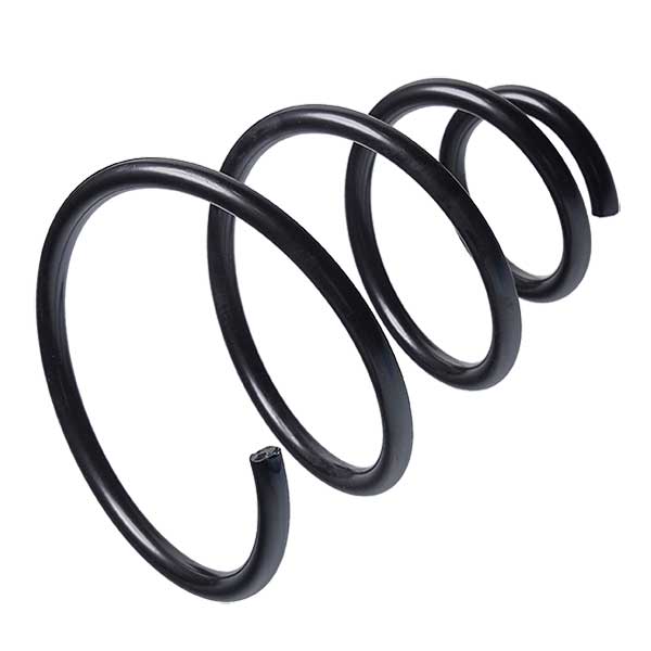 Sachs Coil Spring 627330013