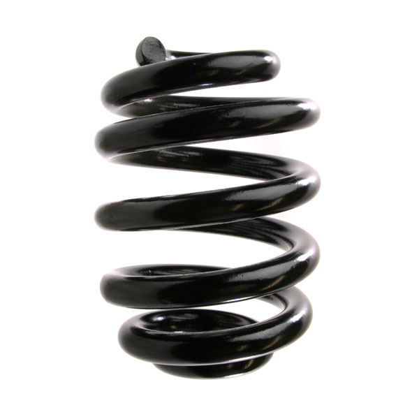 Sachs Coil Spring 627445210