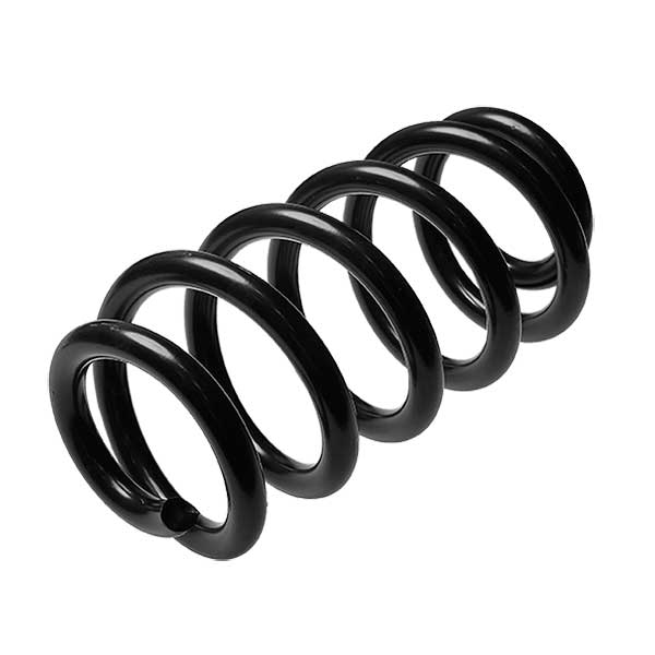Sachs Coil Spring 627445450