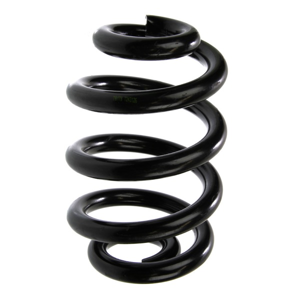 Sachs Coil Spring 627446210