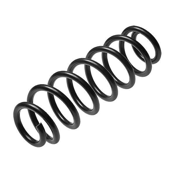 Sachs Coil Spring 627447990