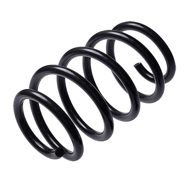 Sachs Coil Spring 627448040