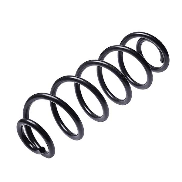 Sachs Coil Spring 627448110