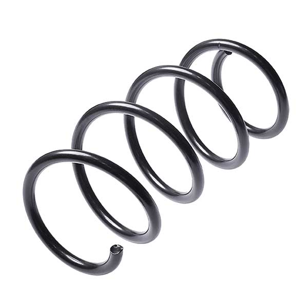 Sachs Coil Spring 627448350
