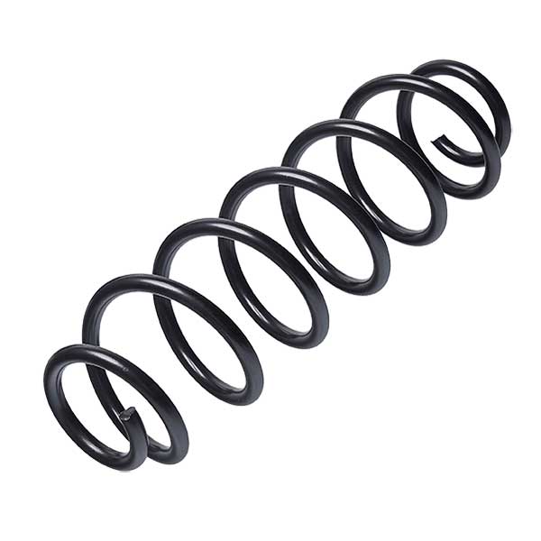 Sachs Coil Spring 627448400