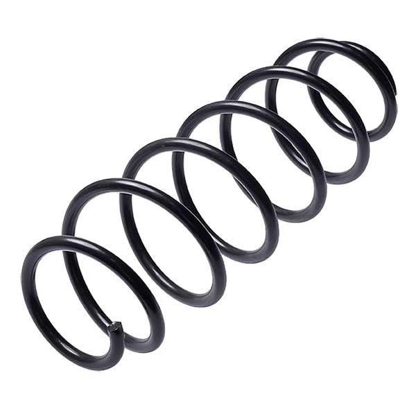 Sachs Coil Spring 627510430