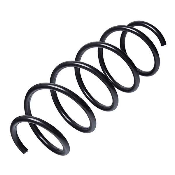 Sachs Coil Spring 627510480