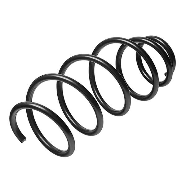 Sachs Coil Spring 627520550