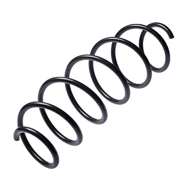 Sachs Coil Spring 627546210