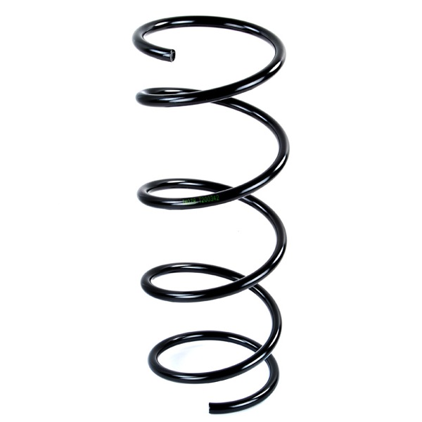 Sachs Coil Spring 627590240