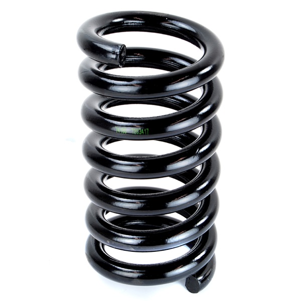 Sachs Coil Spring 627590600