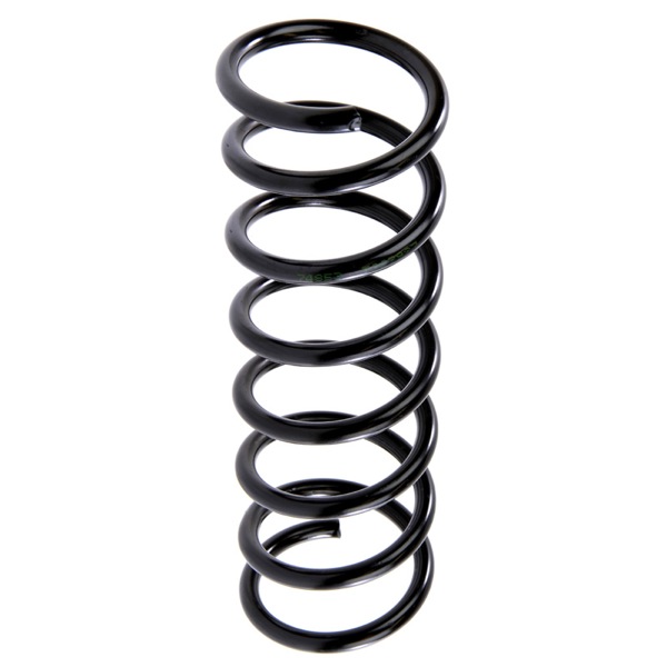 Sachs Coil Spring 627591920
