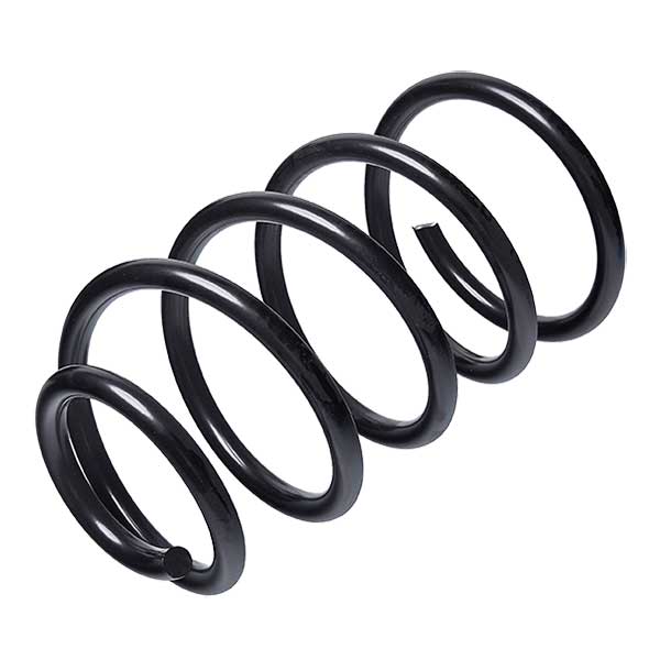 Sachs Coil Spring 627593070