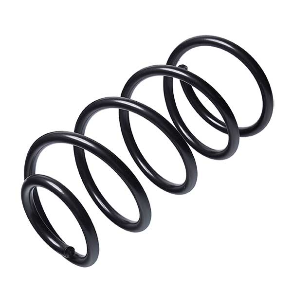 Sachs Coil Spring 627593310
